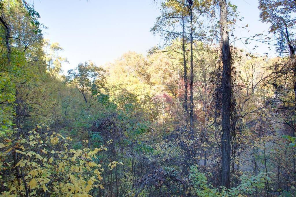 Brave Eagle Cabin Sevierville Quarto foto